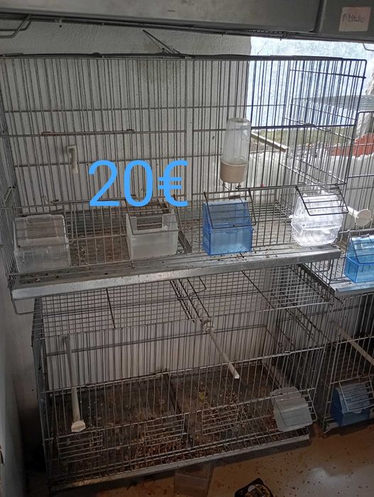 Vendo gaiolas de criação