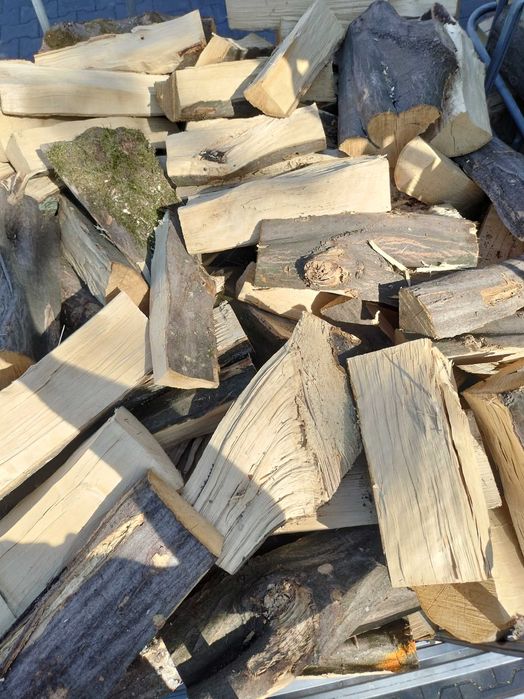 Drewno kominkowe opałowe drzewo Brzoza Buk Grab Akacja Dąb Olcha Sosna