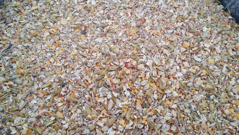 Pasza dla kur niosek 25 kg