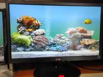 Monitor 22" LG 22EN43T FullHD + HDMI