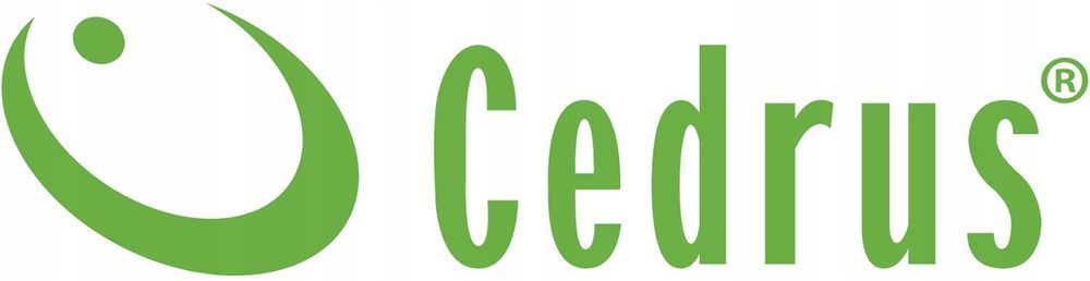 Cedrus Sw02 Wiertnica Glebowa Spalinowa Świder Glebowy Do Ziemi 4.5Km