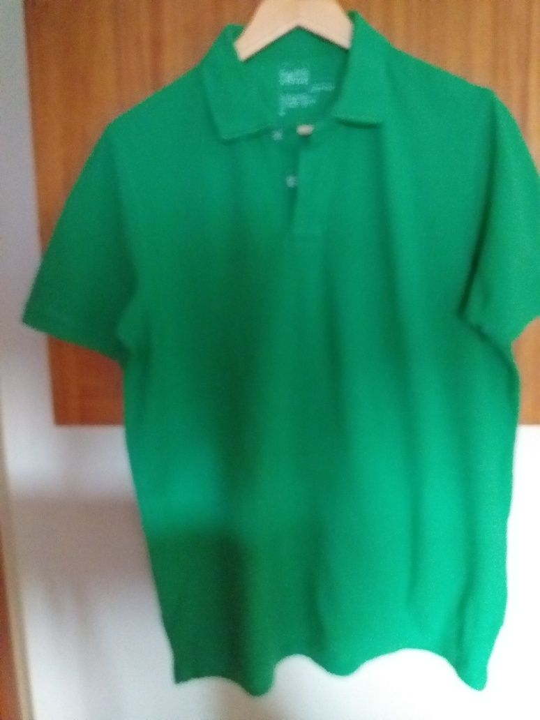 Polo verde manga curta + Casaco