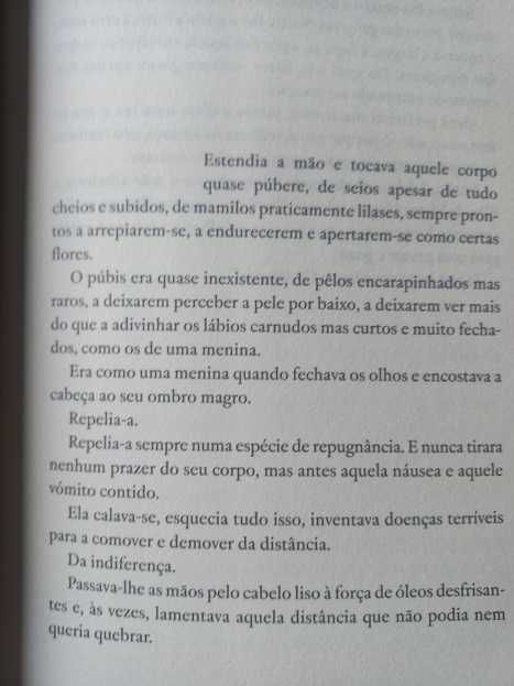 A Paixão Segundo Constança H. -  Maria Teresa Horta