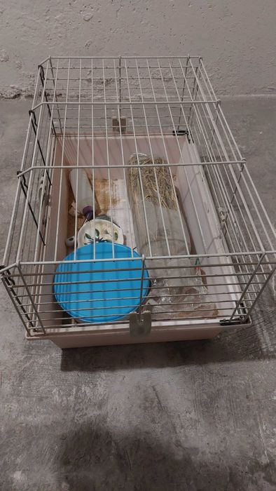 Klatka dla świnki morskiej z akcesoriami