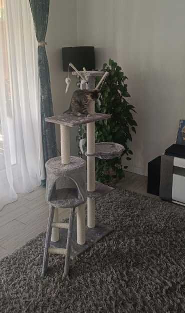 Elegancki wysoki drapak dla kota 138cm z domkiem i zabawkami