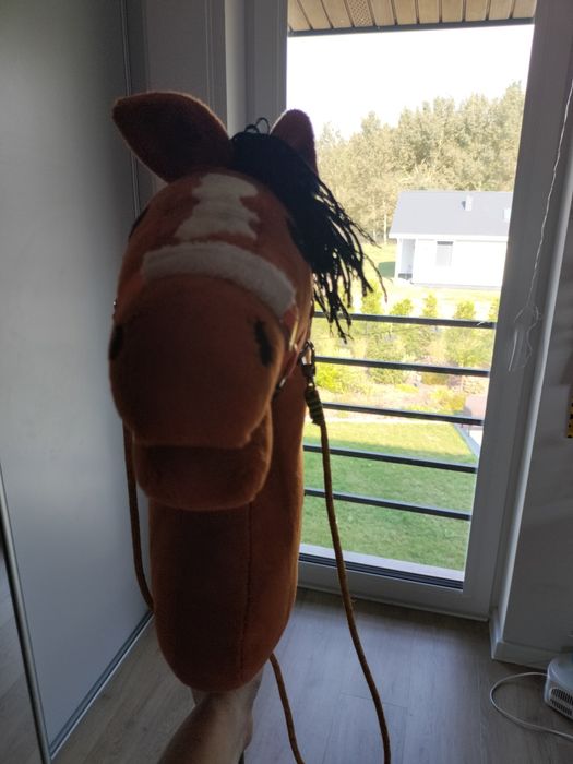 Hobby horse rudy