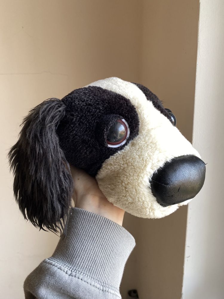 The dog, pies, maskotka, cocker spaniel