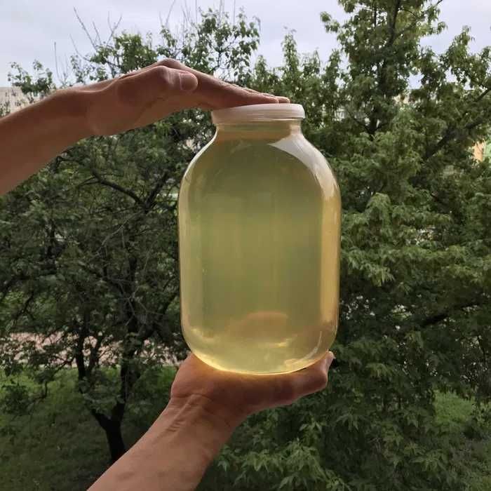 Мед Акація Липа Гречаний