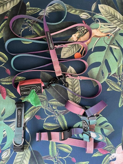 Psa Psyjaciele komplet M: szelki obroża smycz przepinana amortyzator