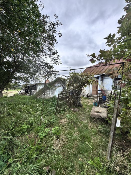 Продаж ділянки 50 сотих с.Романів