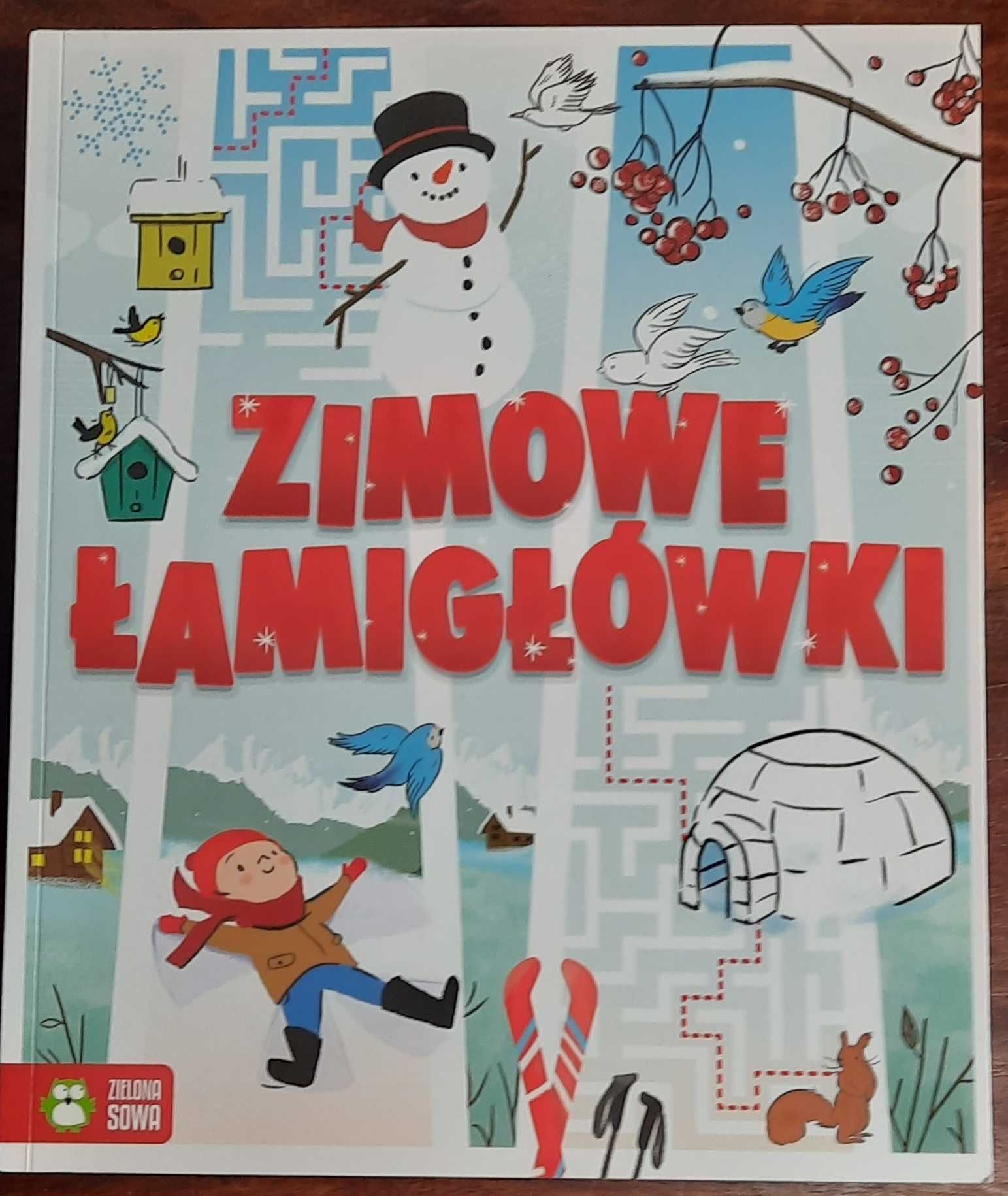 książka dla dzieci pt. "Zimowe łamigłówki"