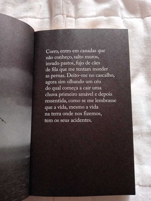 Céu Nublado Com Boas Abertas