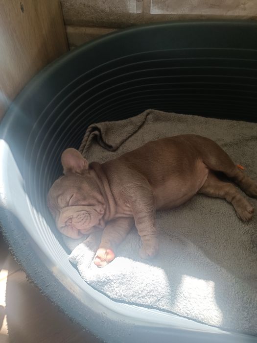 Дівчинка Мішель 3 місяці