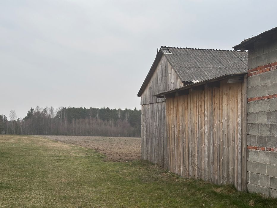 Działka z budynkiem do remontu lub wyburzenia - Tomawa kolonia