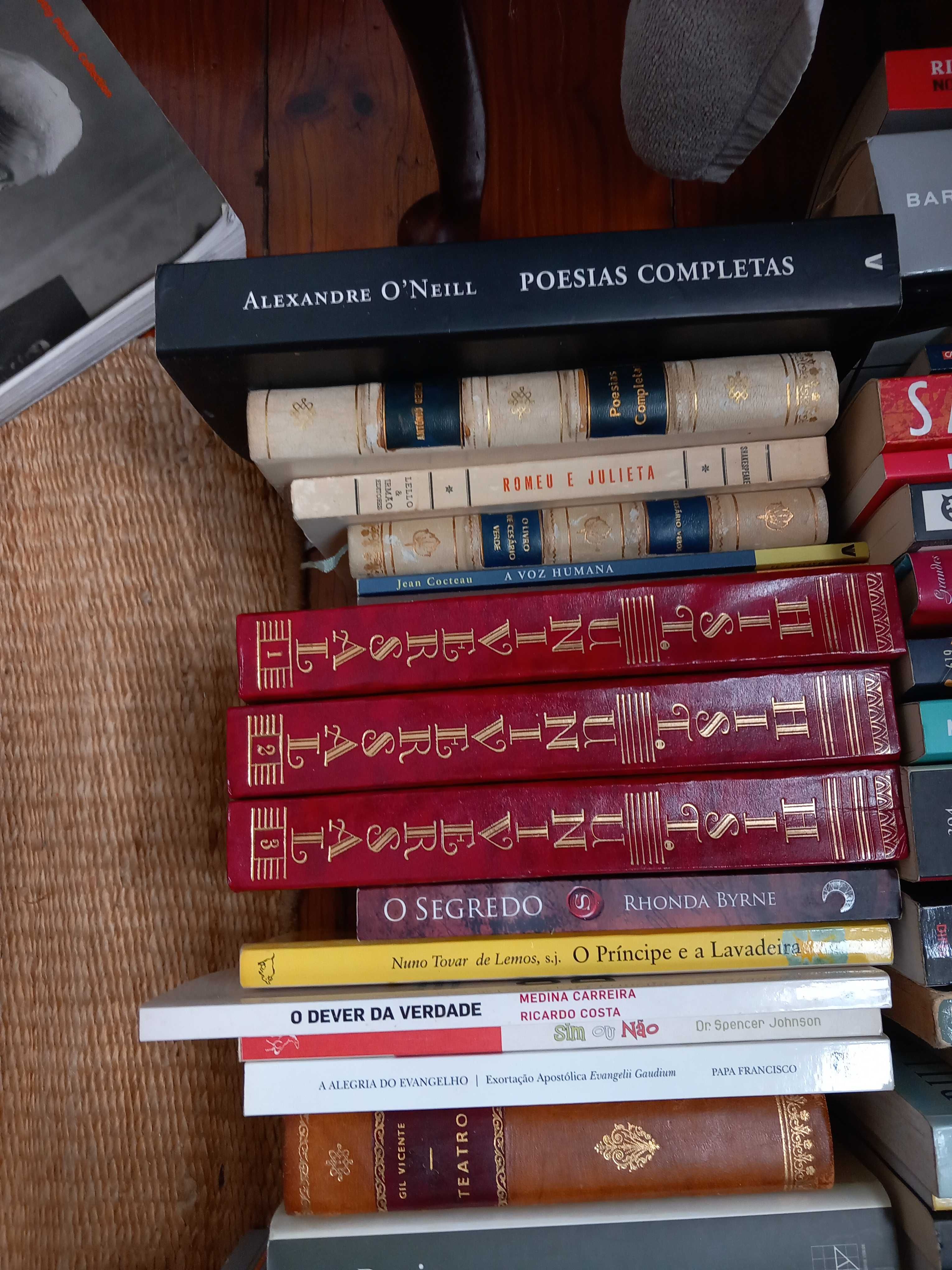 Lote de 74 Livros de qualidade