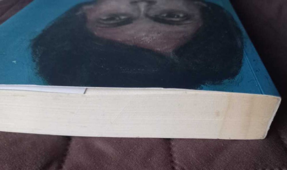 Obras Completas Maria Judite de Carvalho - Volume 3