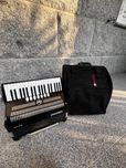 HOHNER Bravo III 96 baixos