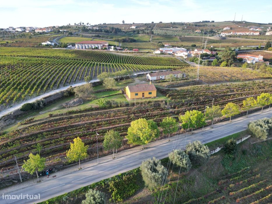 Quinta para Recuperar em Viseu - Oportunidade Única!