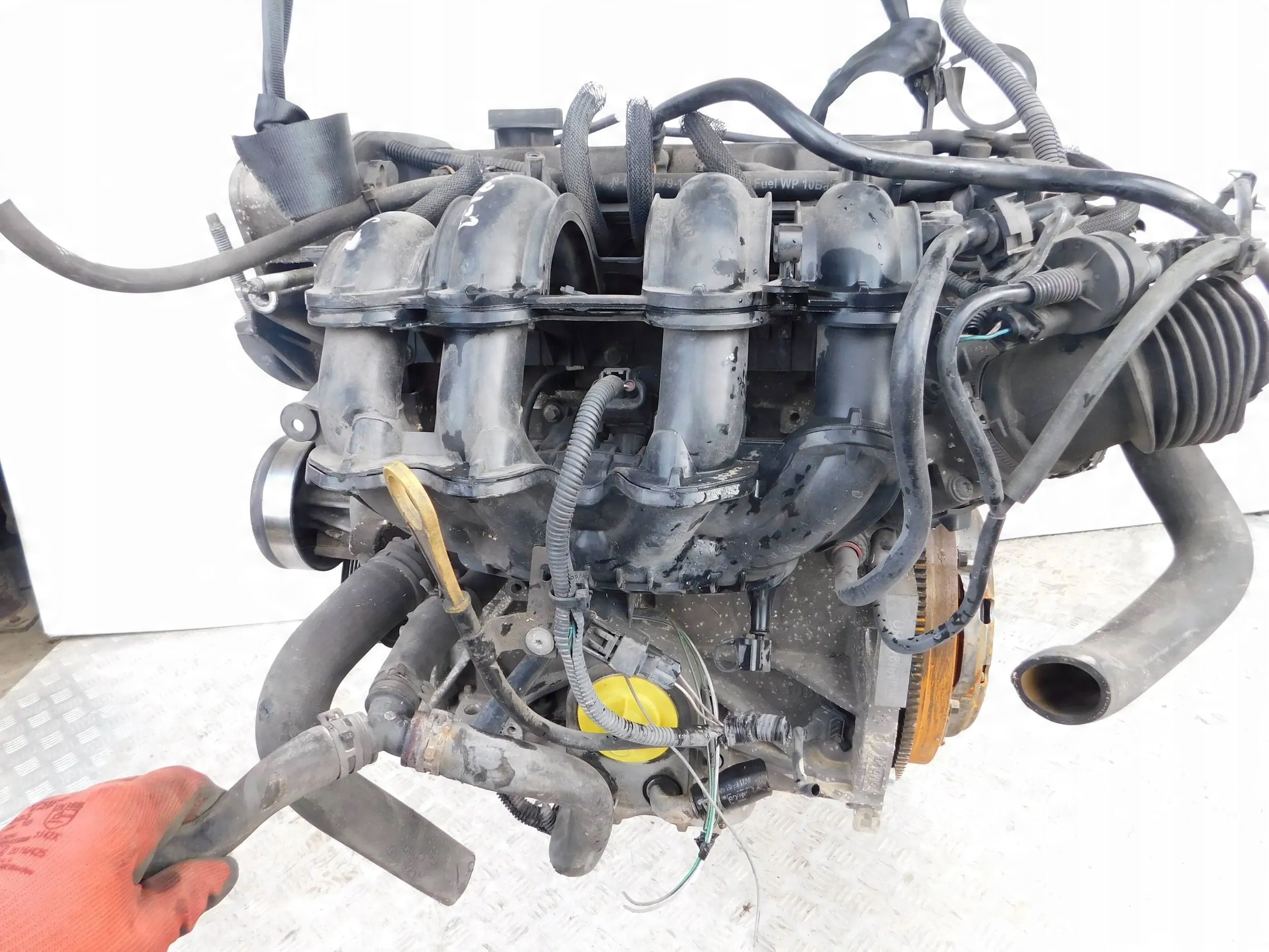 Silnik Rtja 1.4 16V Ford Fiesta MK7 148 tyś.km