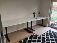 IKEA TROTTEN 160x80 cm białe biurko z regulacją wysokości na korbkę
