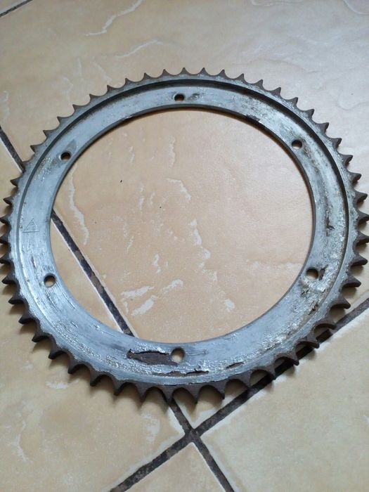 Zębatka tylna panonia oryginalną