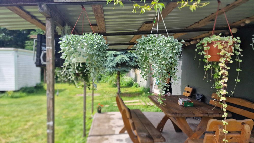 Działka 26 km od Kołobrzegu