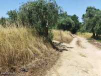 Terreno com viabilidade de Construção