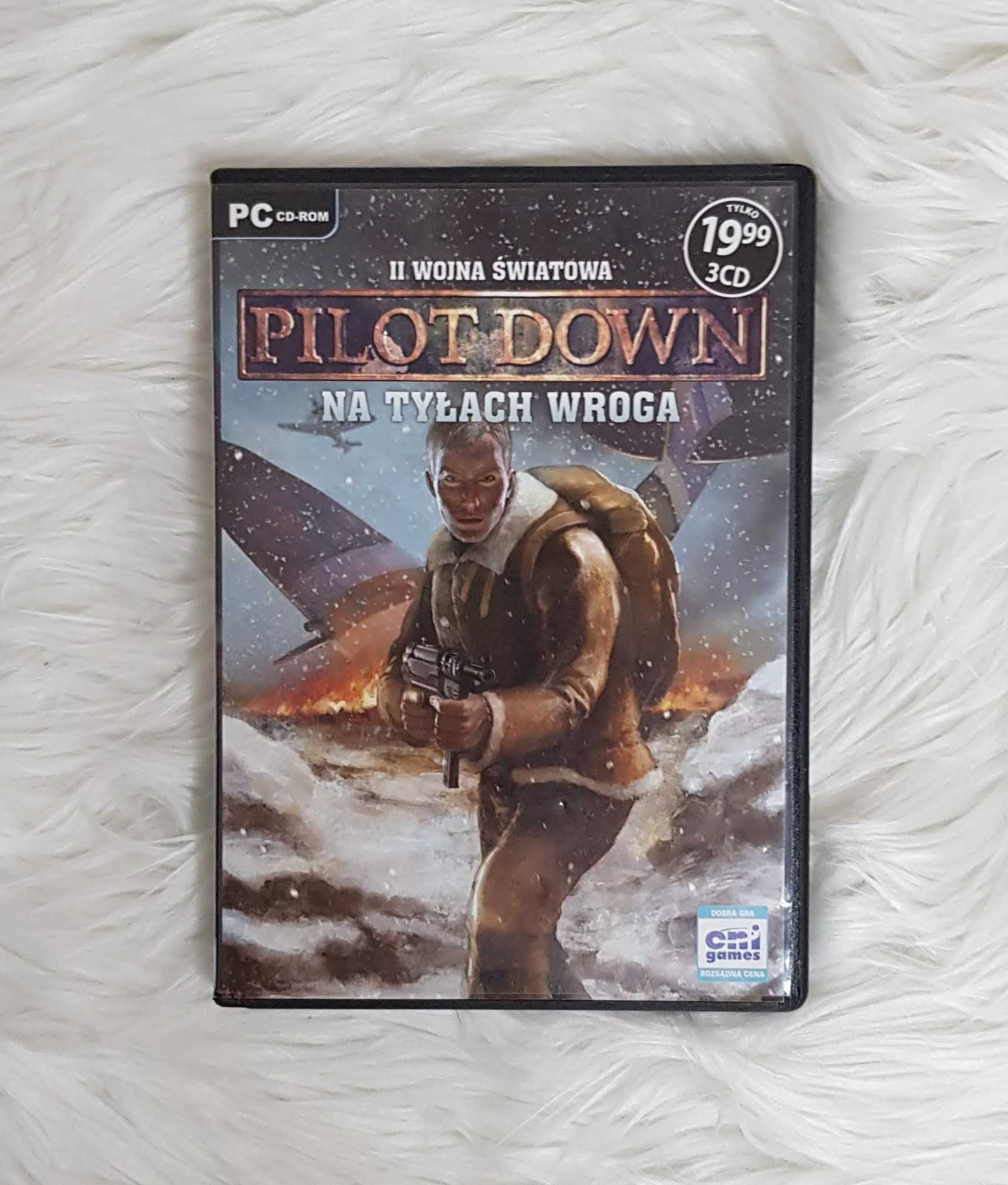 II Wojna Światowa Pilot Down na tyłach wroga gra komputerowa PC