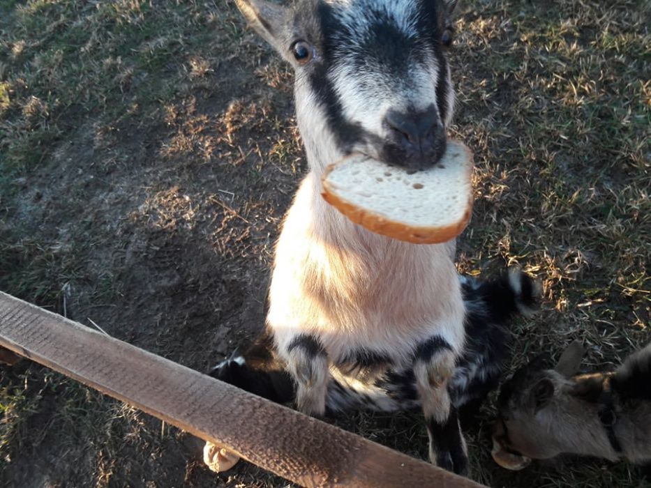 Noclegi w górach! Kotlina Kłodzka, agroturystyka,pokoje, zapraszamy