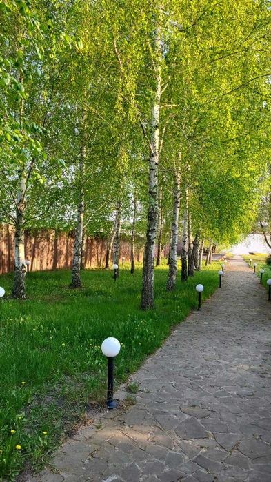 Сдам дом посуточно