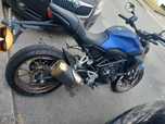 HONDA CB300R 2024