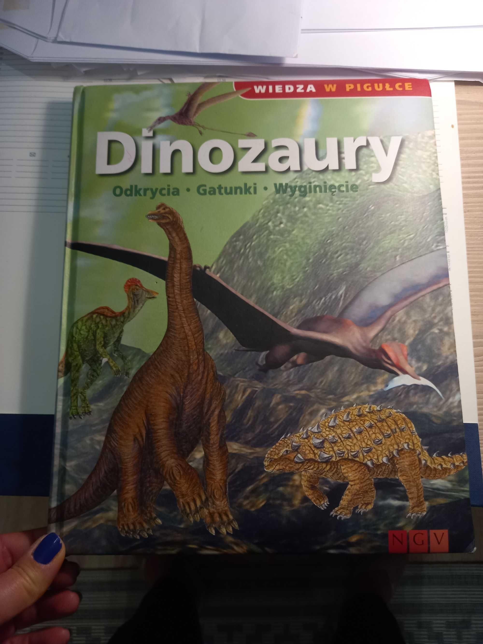 Dinozaury Odkrycia - Gatunki - Wyginięcie