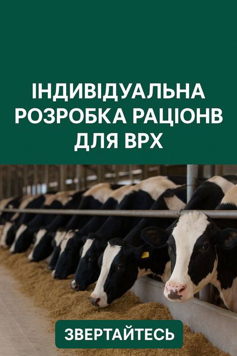 Індивідуальна розробка раціонів для ВРХ