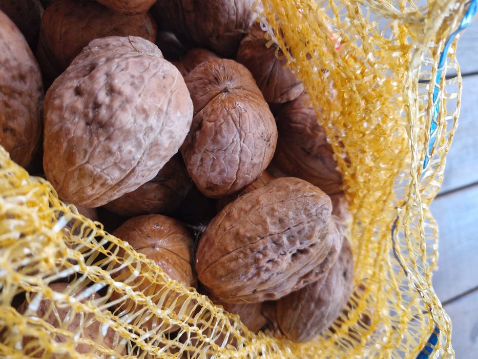 Orzechy włoskie Jacek, bardzo duże, worek 8kg