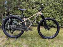 TREK ROSCOE 9, 29", M po serwisie, trail, pumptrac, dirt, bdb
