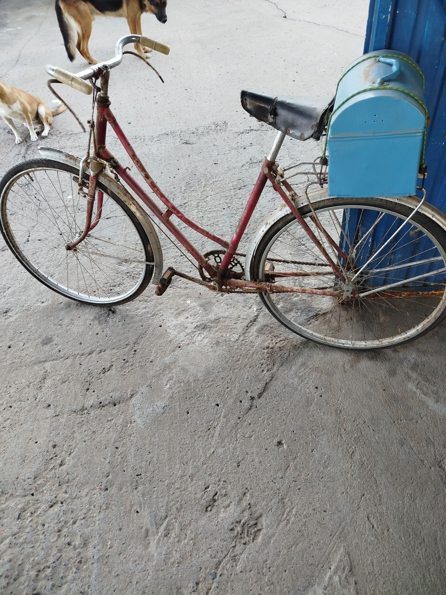 Bicicleta pasteleira antiga