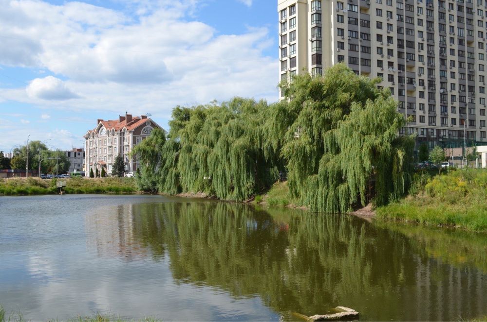Панорамна квартира в Києві | Однокімнтатна | Теремки | Нова Англія