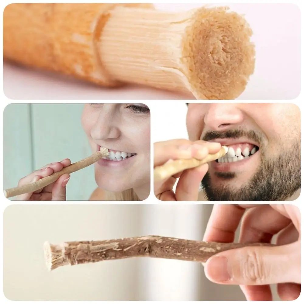 Місвак мисвак арабська зубна щітка натуральна зубная щетка miswak