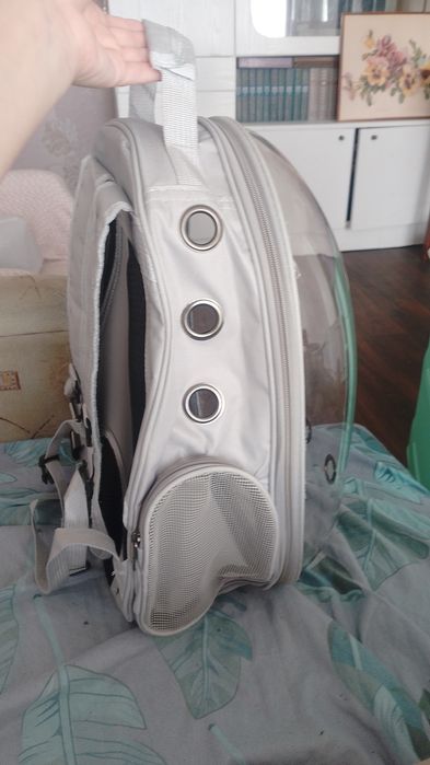 Терновка богдановка