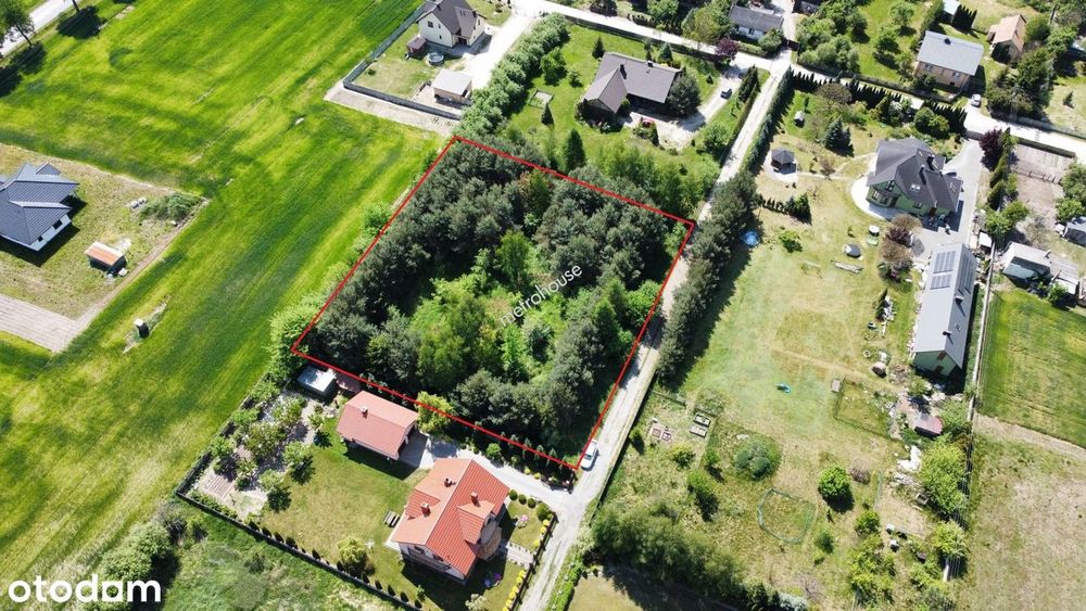 Unikatowa, zalesiona działka pod Jędrzejowem - WZ na dom jednorodzinny