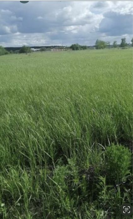 Продам участок под застройку в Васищево