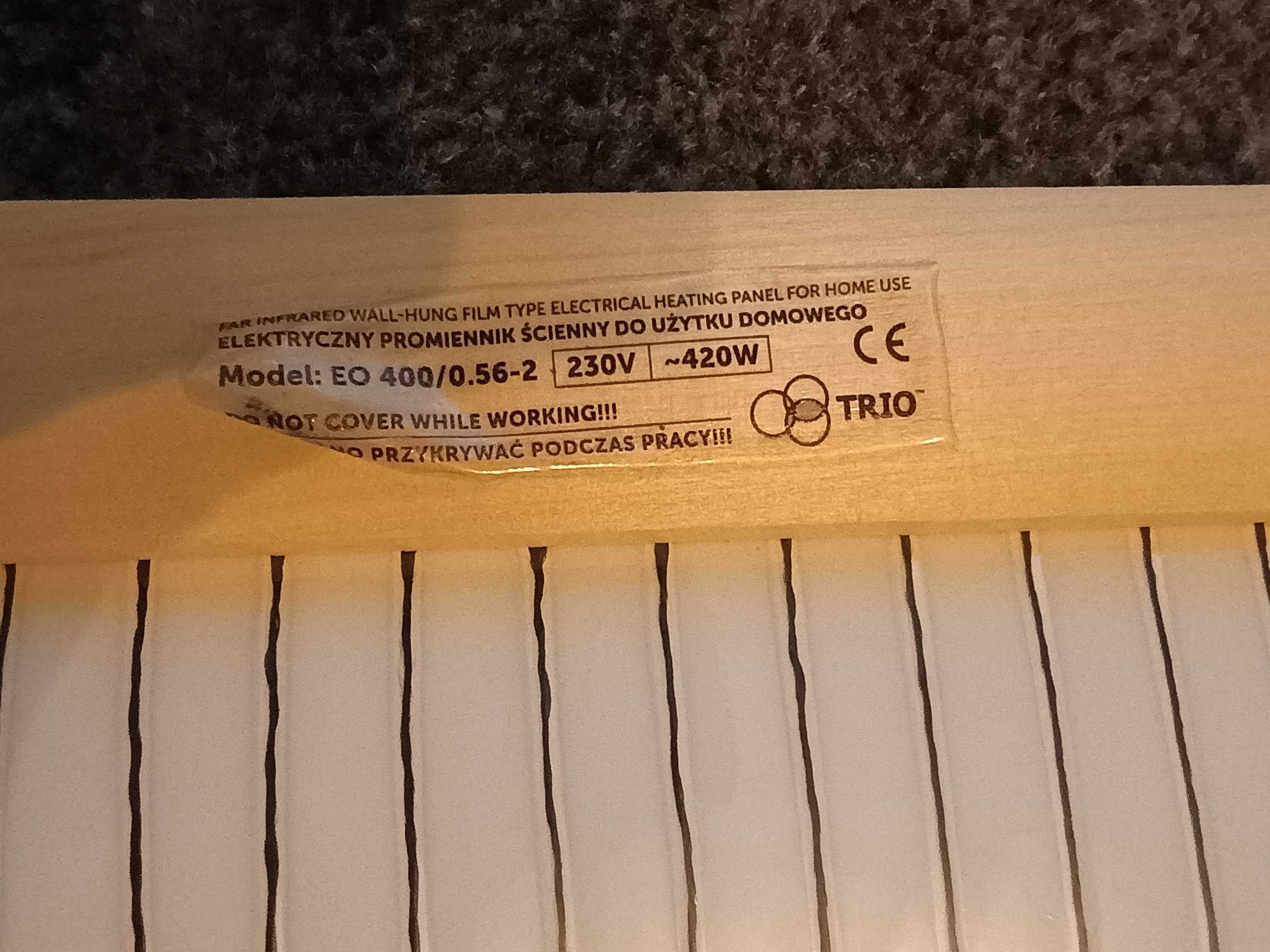 Grzejnik obraz na podczerwień