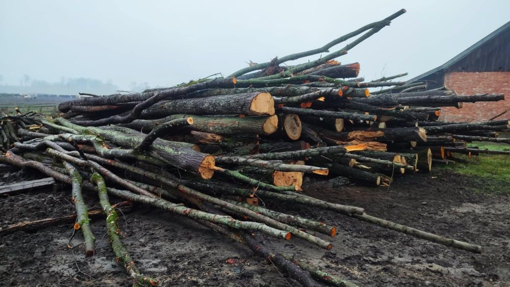 Drewno opałowe mieszane