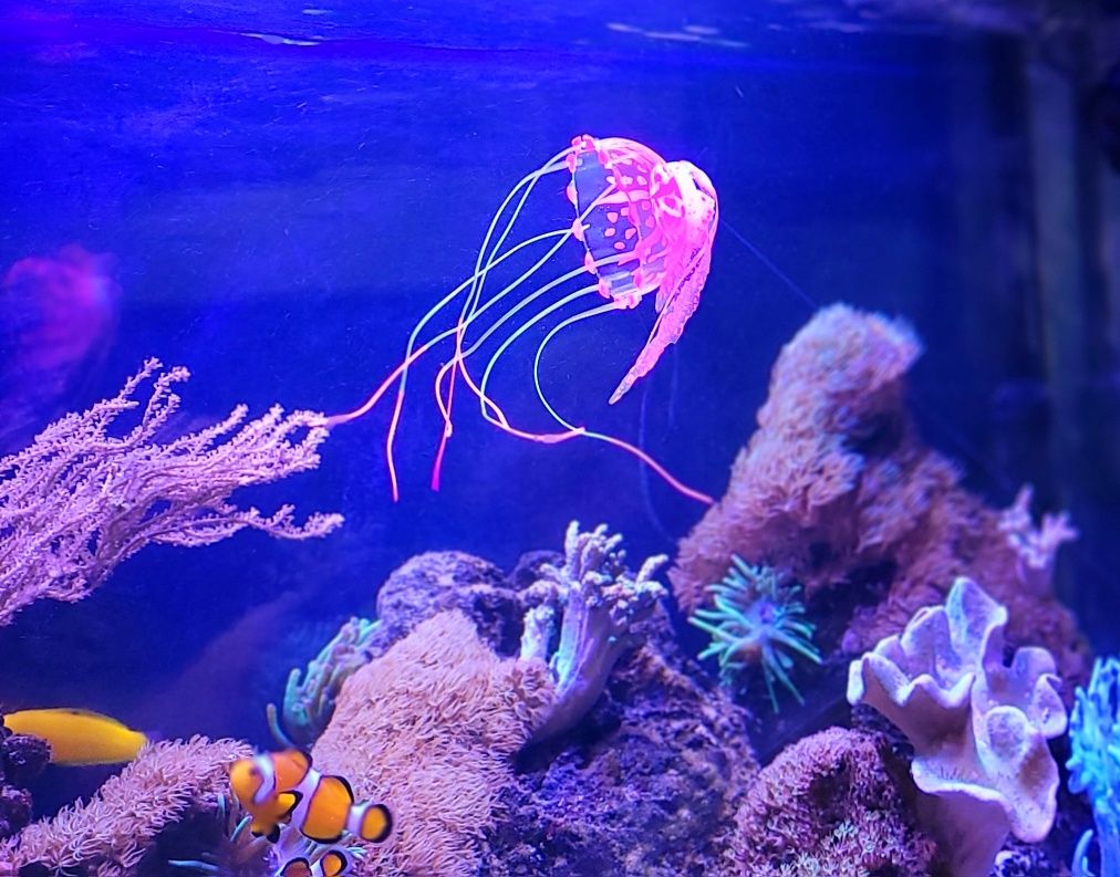 Luminescencyjna świecąca meduza ozdoba akwarium nie tylko morskiego