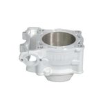 Cylinder YAMAHA YZF WRF 250 01-'13 GAS GAS ECF 250 10-'13 nicasil