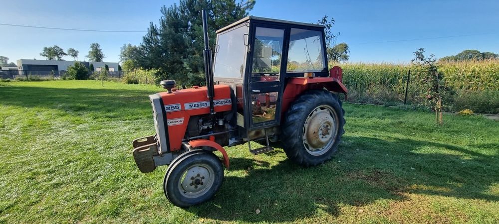 Massey Ferguson 255 Ursus od rolnika