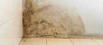 Reparações rápidas casa pinturas humidades torneiras wc chão telhados