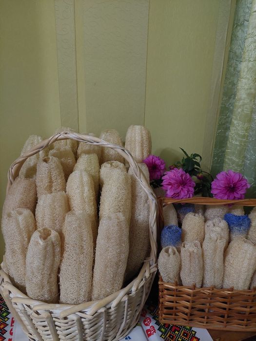 Пропоную мочалки з люфи та насіння. .