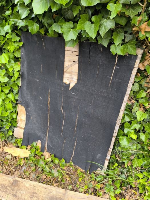 Oddam sklejkę szalunkową i drewno