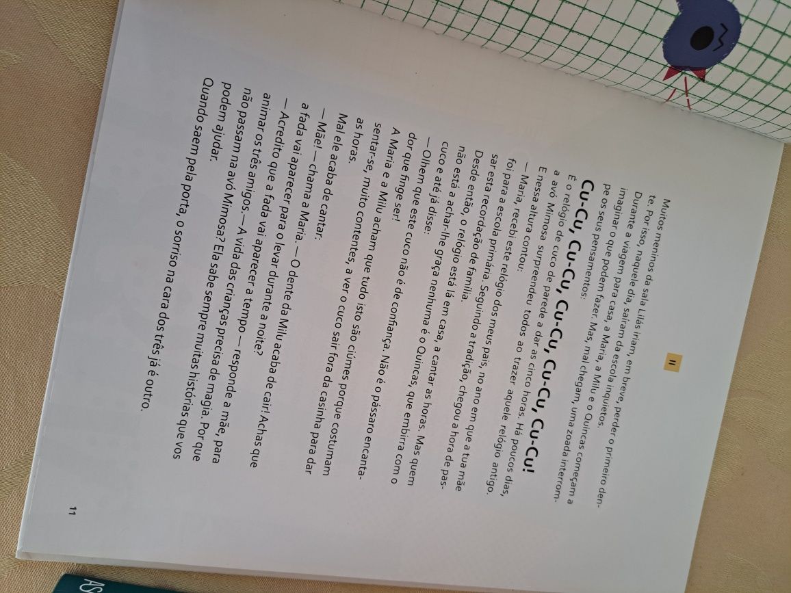 Livro Criança "A fada partiu a asa"
